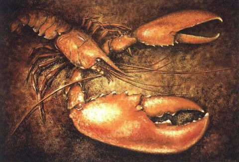 Mon homard